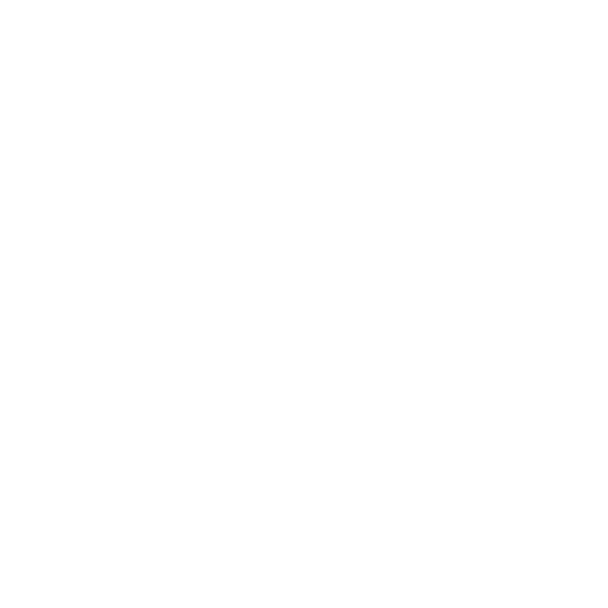 venashi logo