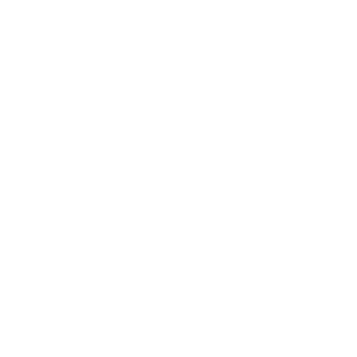 winvia logo